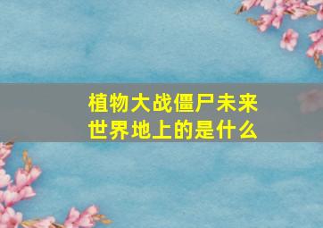 植物大战僵尸未来世界地上的是什么