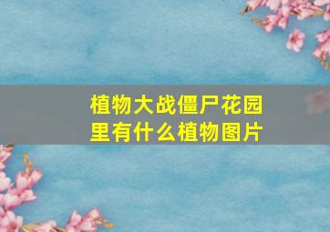 植物大战僵尸花园里有什么植物图片