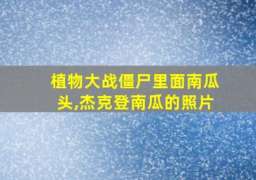 植物大战僵尸里面南瓜头,杰克登南瓜的照片