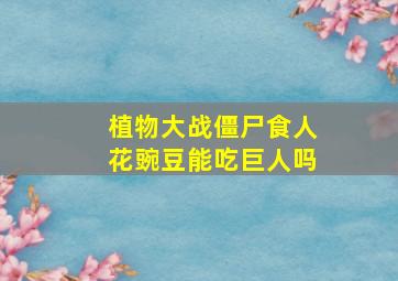 植物大战僵尸食人花豌豆能吃巨人吗