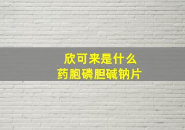 欣可来是什么药胞磷胆碱钠片