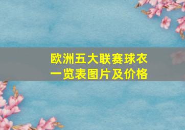 欧洲五大联赛球衣一览表图片及价格