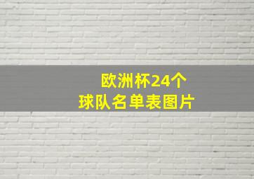 欧洲杯24个球队名单表图片