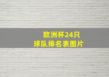 欧洲杯24只球队排名表图片