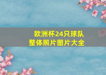 欧洲杯24只球队整体照片图片大全