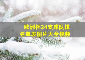 欧洲杯24支球队排名单表图片大全视频