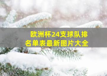 欧洲杯24支球队排名单表最新图片大全