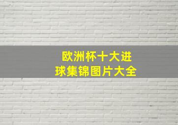 欧洲杯十大进球集锦图片大全