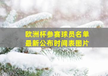 欧洲杯参赛球员名单最新公布时间表图片