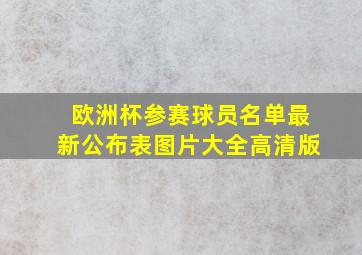 欧洲杯参赛球员名单最新公布表图片大全高清版