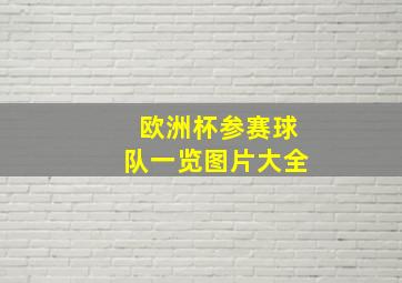 欧洲杯参赛球队一览图片大全