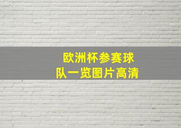 欧洲杯参赛球队一览图片高清