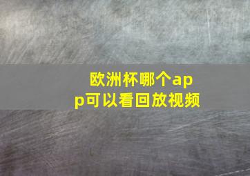 欧洲杯哪个app可以看回放视频