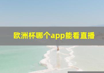 欧洲杯哪个app能看直播