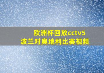 欧洲杯回放cctv5波兰对奥地利比赛视频