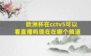 欧洲杯在cctv5可以看直播吗现在在哪个频道