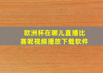 欧洲杯在哪儿直播比赛呢视频播放下载软件