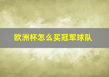 欧洲杯怎么买冠军球队