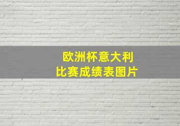 欧洲杯意大利比赛成绩表图片