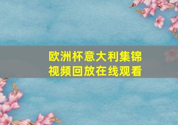 欧洲杯意大利集锦视频回放在线观看