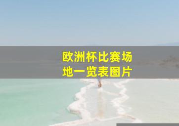 欧洲杯比赛场地一览表图片