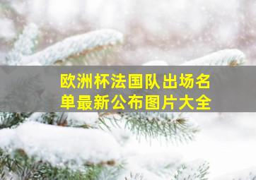 欧洲杯法国队出场名单最新公布图片大全