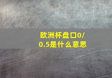 欧洲杯盘口0/0.5是什么意思