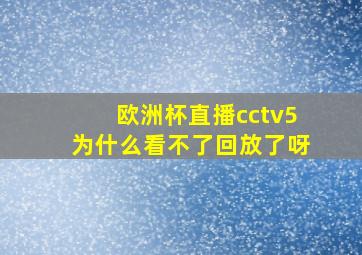 欧洲杯直播cctv5为什么看不了回放了呀