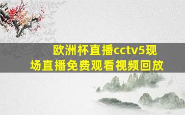 欧洲杯直播cctv5现场直播免费观看视频回放