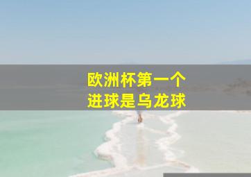 欧洲杯第一个进球是乌龙球