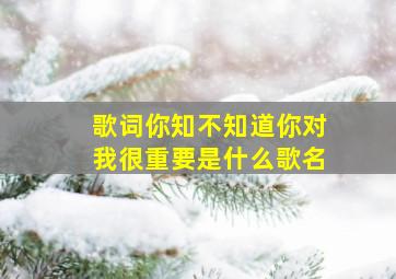 歌词你知不知道你对我很重要是什么歌名