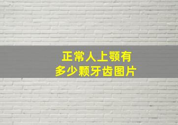 正常人上颚有多少颗牙齿图片