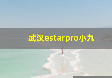 武汉estarpro小九