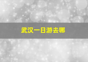 武汉一日游去哪