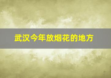 武汉今年放烟花的地方