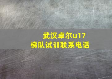 武汉卓尔u17梯队试训联系电话