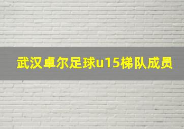 武汉卓尔足球u15梯队成员