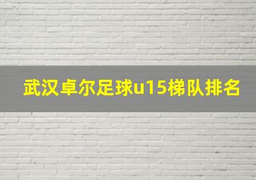 武汉卓尔足球u15梯队排名