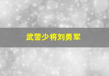 武警少将刘勇军