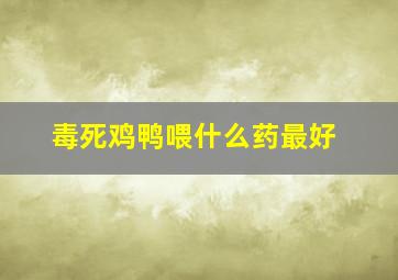 毒死鸡鸭喂什么药最好