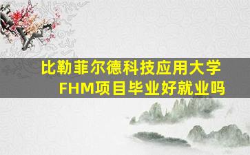 比勒菲尔德科技应用大学FHM项目毕业好就业吗