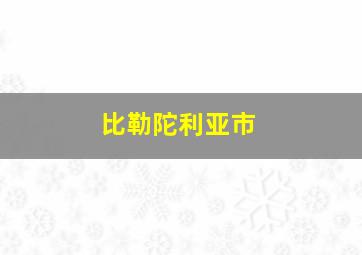 比勒陀利亚市