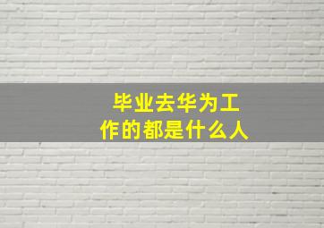 毕业去华为工作的都是什么人