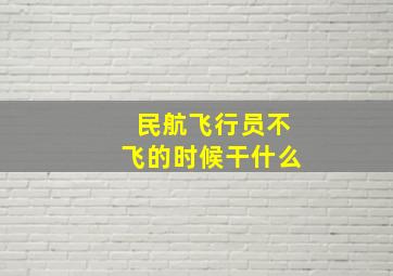 民航飞行员不飞的时候干什么