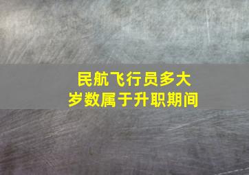 民航飞行员多大岁数属于升职期间