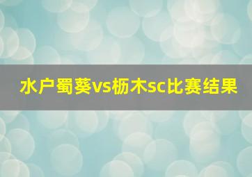 水户蜀葵vs枥木sc比赛结果