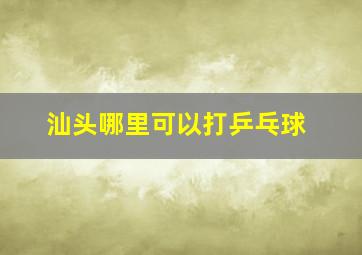 汕头哪里可以打乒乓球