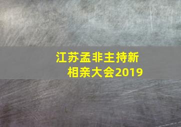 江苏孟非主持新相亲大会2019