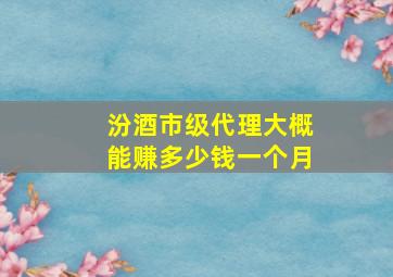 汾酒市级代理大概能赚多少钱一个月