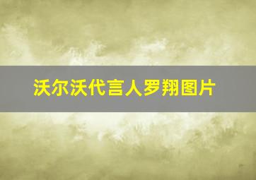 沃尔沃代言人罗翔图片